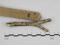 登錄號:F0013439藏品圖，第3張