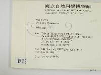 炭角菌屬藏品圖，第2張