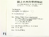 登錄號:F0013443藏品圖，第2張