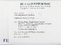 登錄號:F0013444藏品圖，第2張