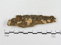 登錄號:F0013444藏品圖，第1張