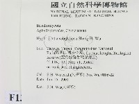 登錄號:F0013445藏品圖，第2張