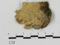 登錄號:F0013445藏品圖，第1張
