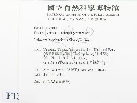 登錄號:F0013446藏品圖，第2張