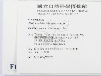 登錄號:F0013447藏品圖，第2張