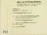 登錄號:F0013448藏品圖，第2張