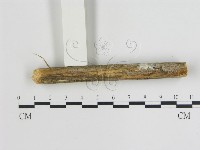 登錄號:F0013448藏品圖，第1張