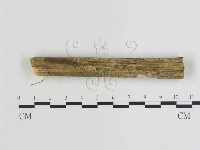 登錄號:F0013448藏品圖，第3張