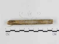 登錄號:F0013448藏品圖，第4張