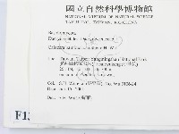 登錄號:F0013449藏品圖，第2張