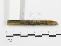 登錄號:F0013449藏品圖，第1張