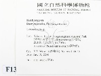 登錄號:F0013450藏品圖，第2張