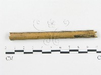 登錄號:F0013450藏品圖，第1張