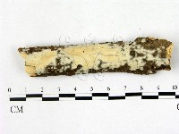 登錄號:F0013451藏品圖，第1張