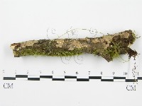 登錄號:F0013453藏品圖，第1張