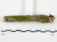 登錄號:F0013453藏品圖，第7張