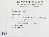 登錄號:F0013456藏品圖，第2張