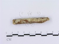 登錄號:F0013456藏品圖，第1張