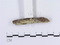 登錄號:F0013456藏品圖，第3張