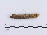 登錄號:F0013456藏品圖，第4張