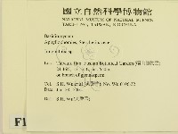 登錄號:F0013457藏品圖，第2張