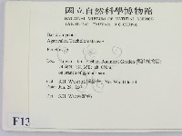 登錄號:F0013458藏品圖，第2張