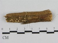 登錄號:F0013458藏品圖，第1張