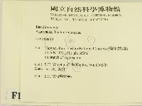 登錄號:F0013459藏品圖，第2張