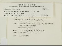 登錄號:F0013460藏品圖，第2張