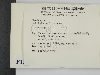 登錄號:F0013461藏品圖，第2張