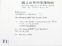 登錄號:F0013462藏品圖，第2張