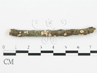 登錄號:F0013462藏品圖，第1張