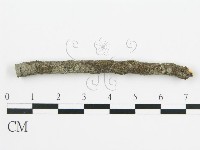 登錄號:F0013462藏品圖，第4張