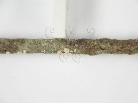 登錄號:F0013462藏品圖，第7張