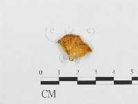 登錄號:F0013463藏品圖，第1張