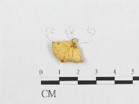 登錄號:F0013463藏品圖，第3張
