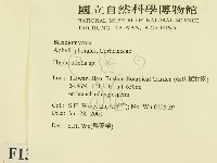 登錄號:F0013464藏品圖，第2張
