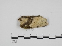 登錄號:F0013466藏品圖，第1張