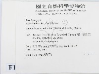 登錄號:F0013467藏品圖，第2張
