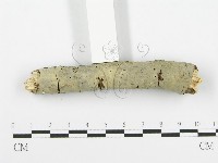 登錄號:F0013467藏品圖，第3張