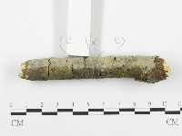 登錄號:F0013467藏品圖，第6張