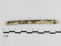 登錄號:F0013468藏品圖，第1張