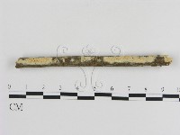 登錄號:F0013468藏品圖，第3張