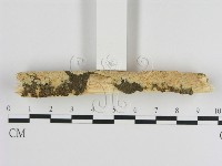 登錄號:F0013469藏品圖，第3張