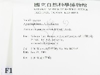 登錄號:F0013471藏品圖，第2張