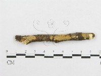 登錄號:F0013471藏品圖，第1張