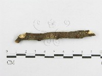 登錄號:F0013471藏品圖，第3張