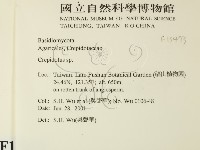 登錄號:F0013473藏品圖，第2張