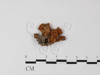 登錄號:F0013473藏品圖，第3張