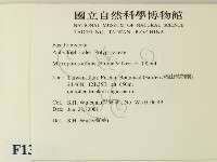 相鄰小孔菌藏品圖，第2張